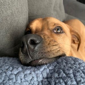 Meet your Posher, Hailey